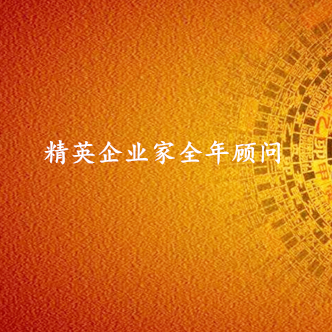 精英企业全年私人顾问