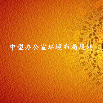 中型办公室环境布局规划